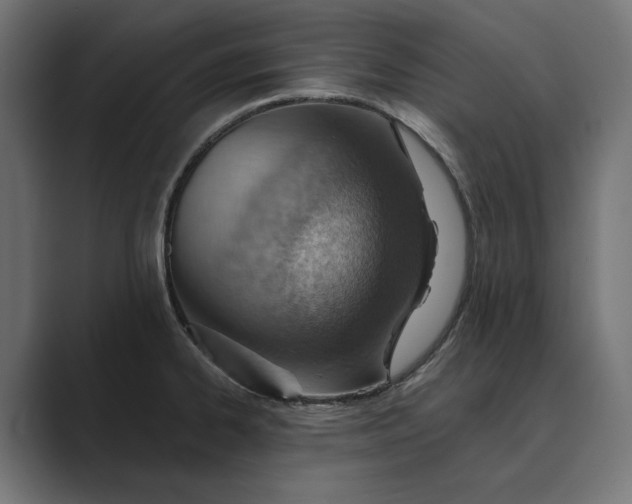 X0000089341334200706290953