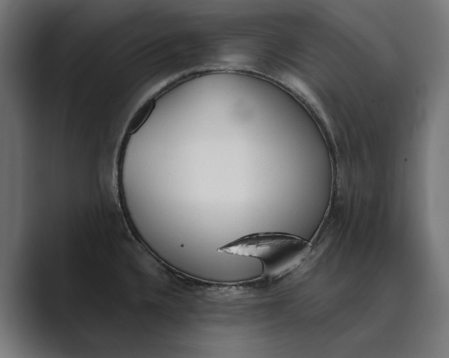 X0000089341336200706290954