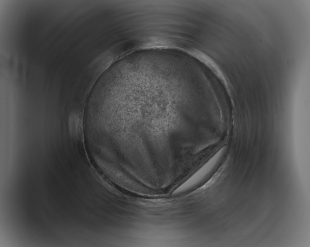 X0000089341337200706290954
