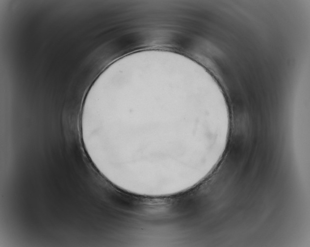X0000089341338200706290954
