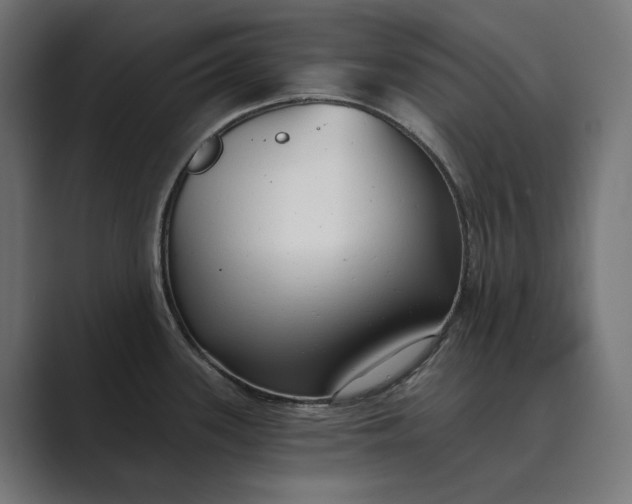 X0000089341339200706290954