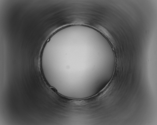 X0000089341340200706290954