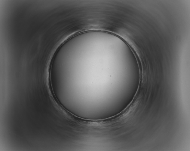 X0000089341341200706290954
