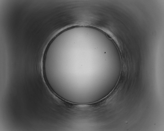X0000089341343200706290954