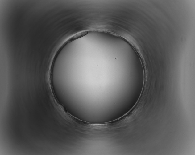 X0000089341344200706290954
