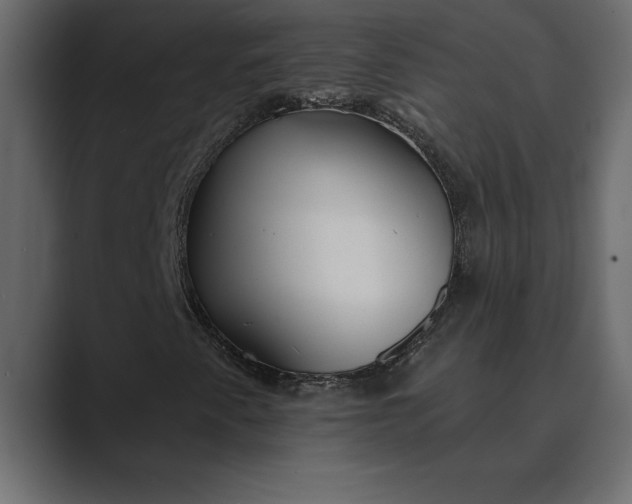 X0000089341345200706290953
