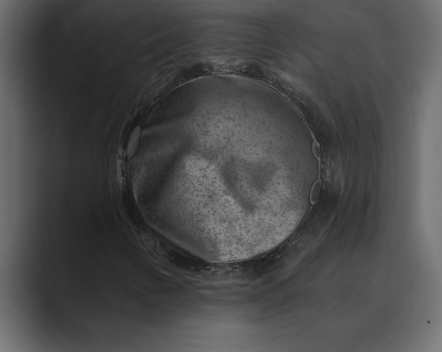 X0000089341346200706290953