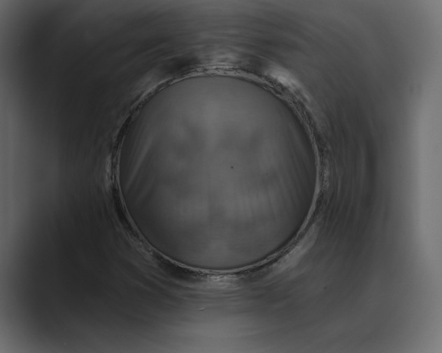 X0000089341353200706290953