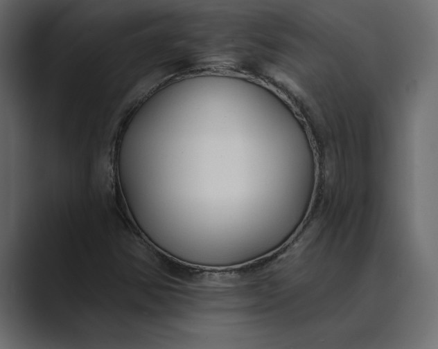 X0000089341354200706290953