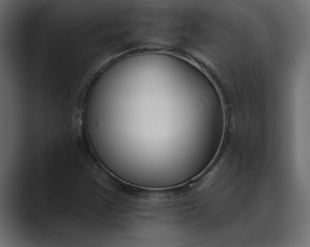 X0000089341355200706290953