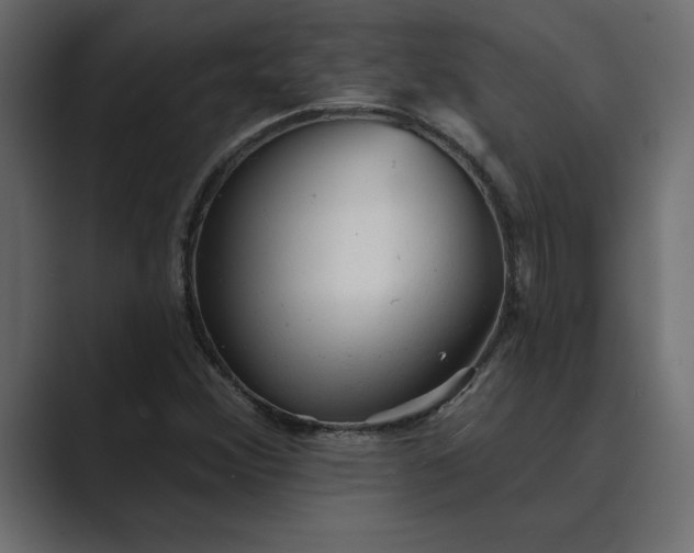 X0000089341356200706290953
