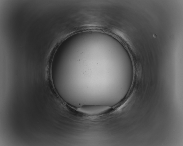 X0000089341357200706290953