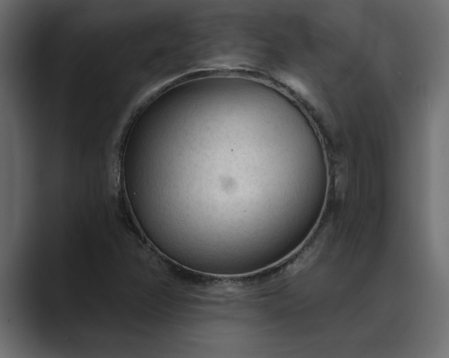 X0000089341358200706290953