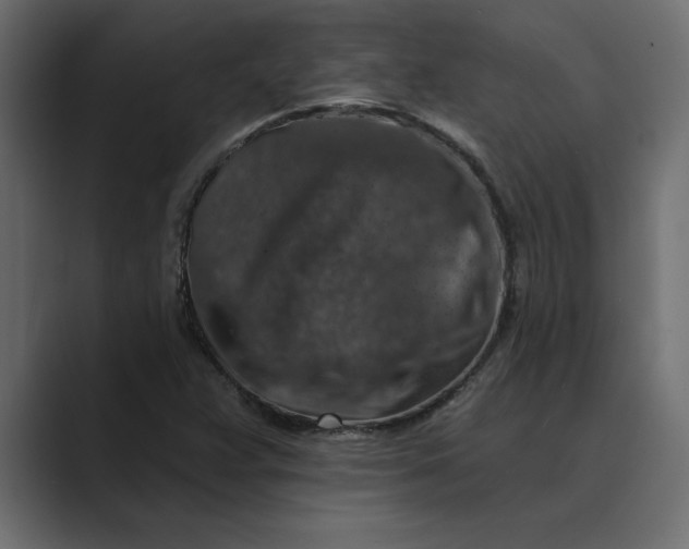 X0000089341359200706290953