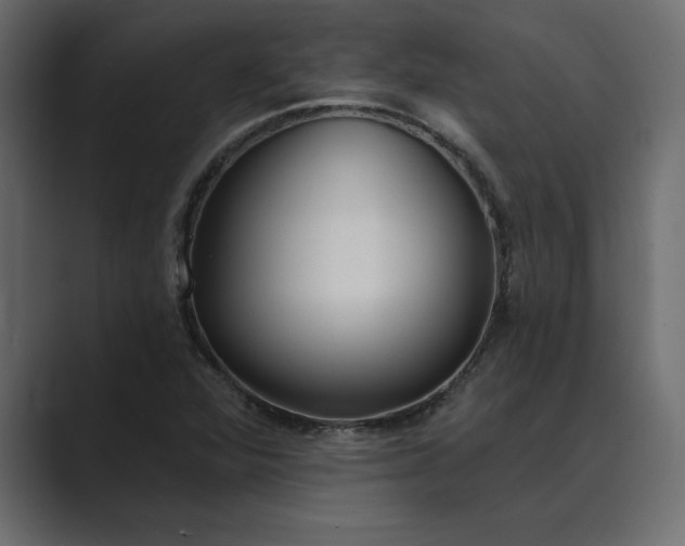 X0000089341360200706290953