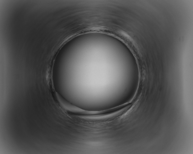 X0000089341361200706290953