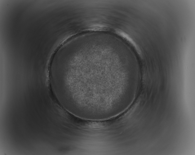 X0000089341362200706290953
