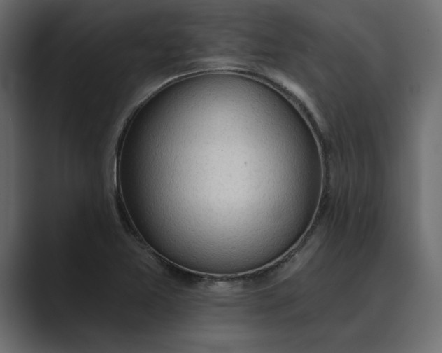 X0000089341365200706290953