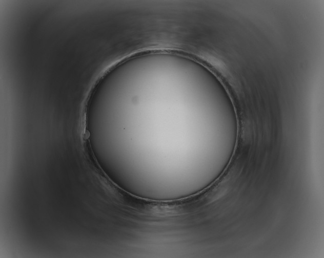 X0000089341366200706290953