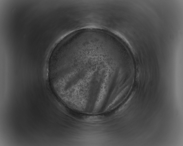 X0000089341367200706290953