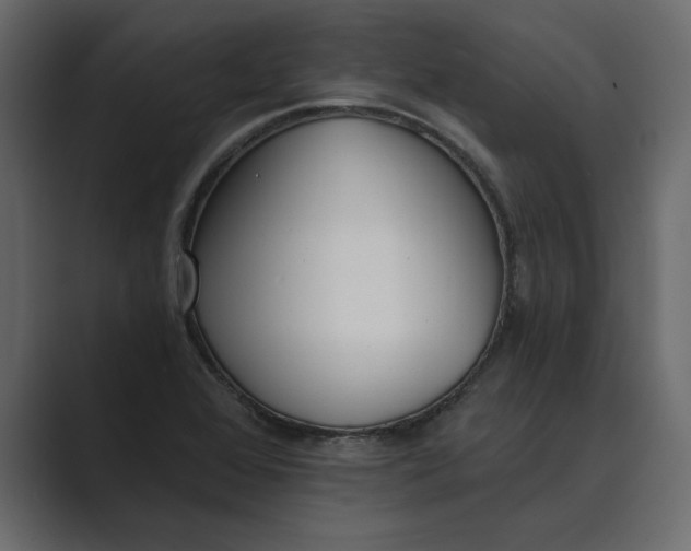 X0000089341368200706290953