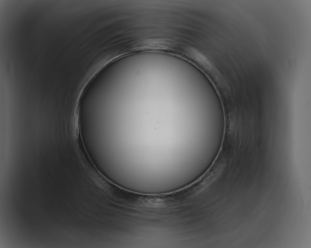 X0000089341370200706290953
