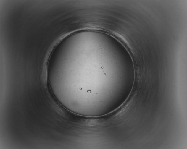 X0000089341371200706290953
