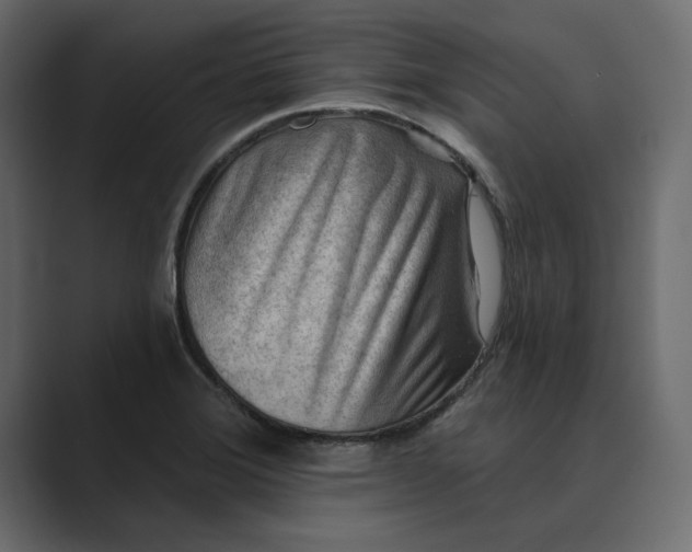 X0000089341372200706290953