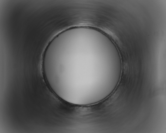 X0000089341374200706290953