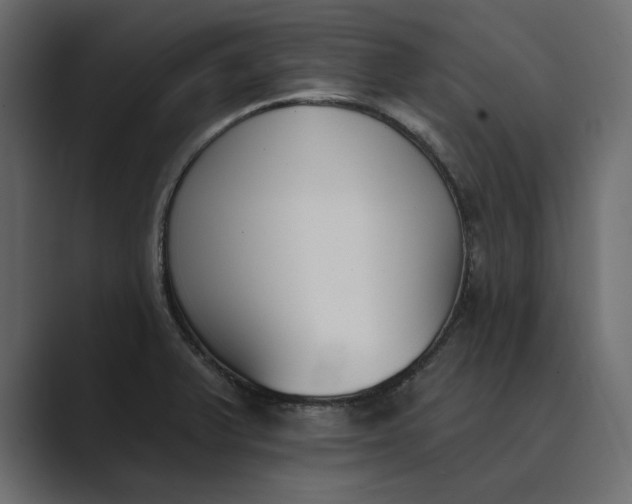 X0000089341375200706290953