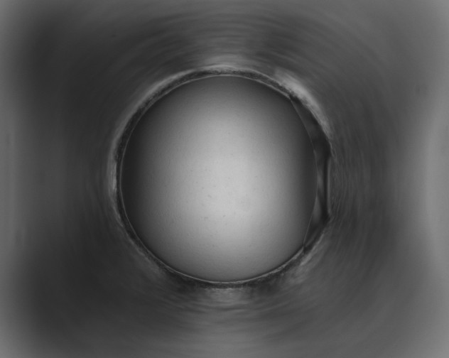 X0000089341376200706290953