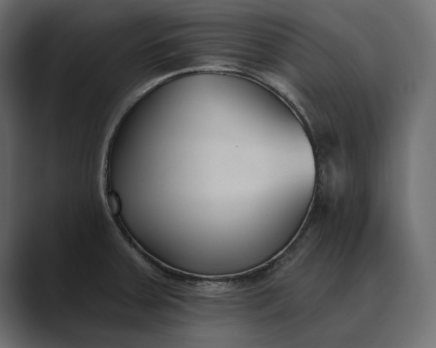 X0000089341379200706290953