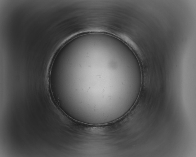 X0000089341380200706290953