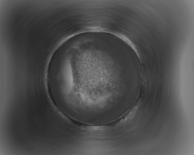 X0000089341381200706290953