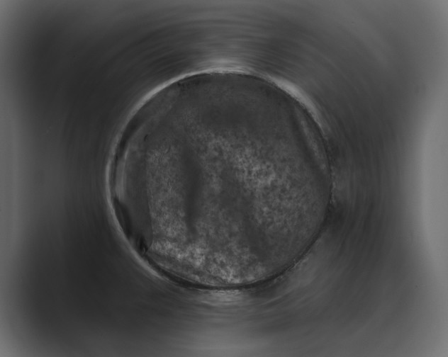 X0000089341383200706290952