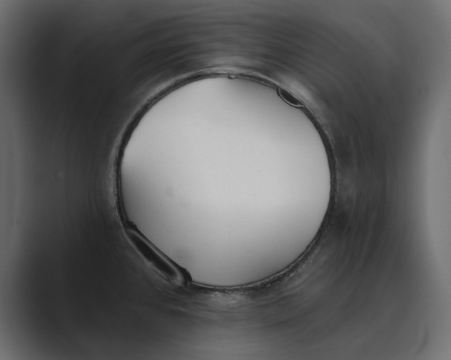 X0000089341384200706290952