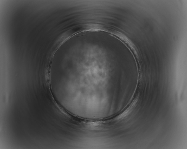 X0000089341385200706290952