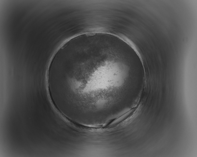 X0000089341389200706290952