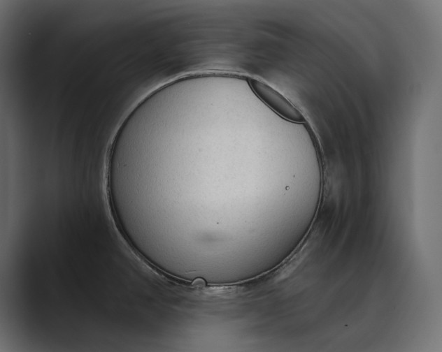 X0000089341390200706290952