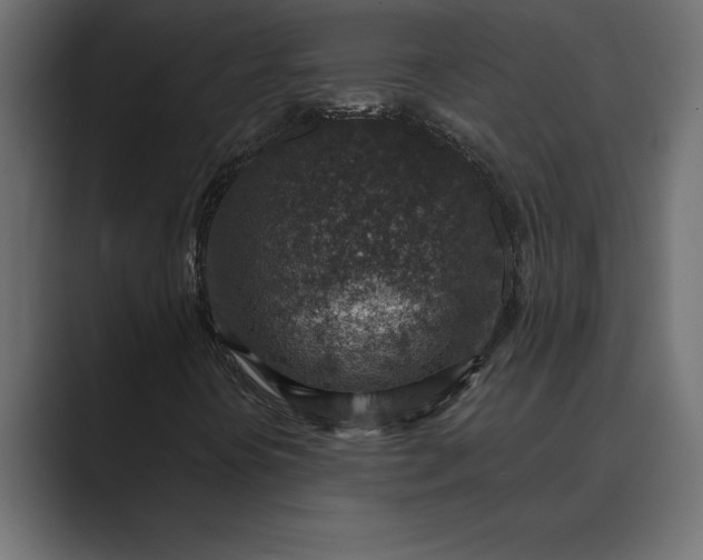 X0000089341394200706290952