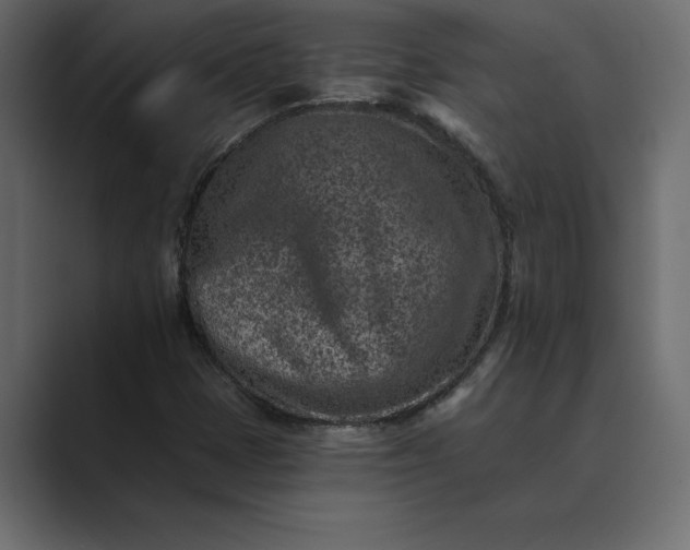 X0000089341401200706290952
