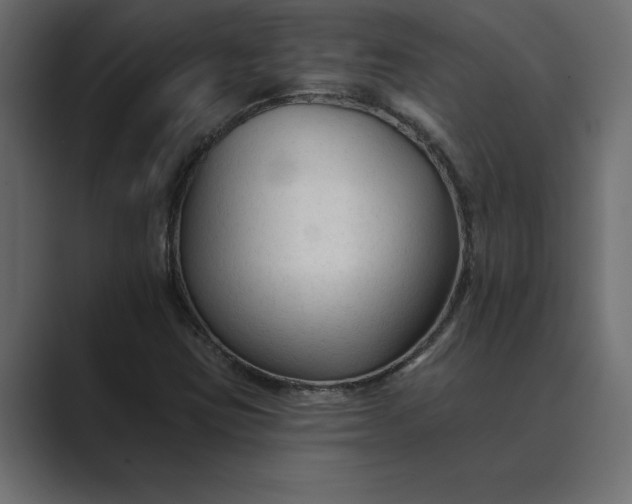 X0000089341403200706290952