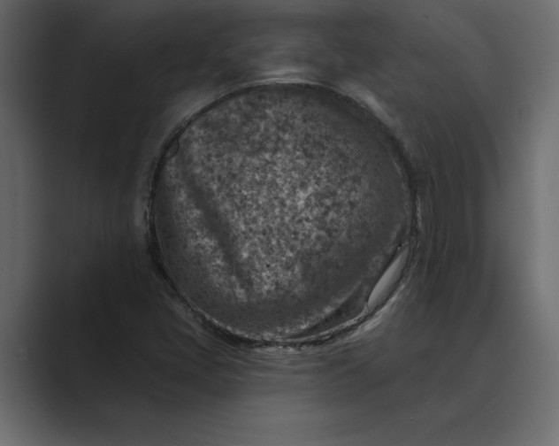 X0000089341405200706290952