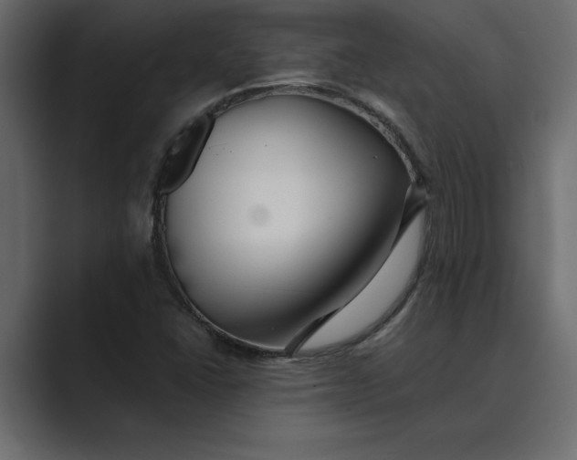 X0000089341406200706290952