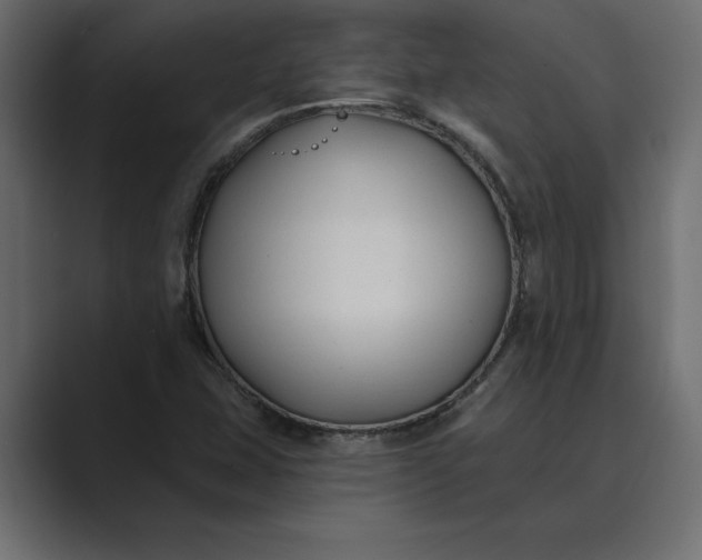 X0000089341407200706290952