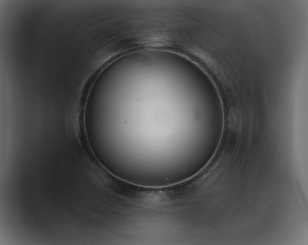 X0000089341410200706290952