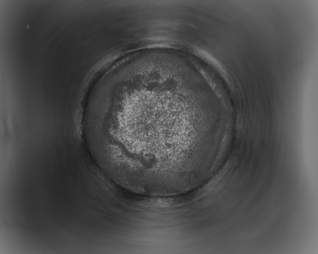 X0000089341411200706290952
