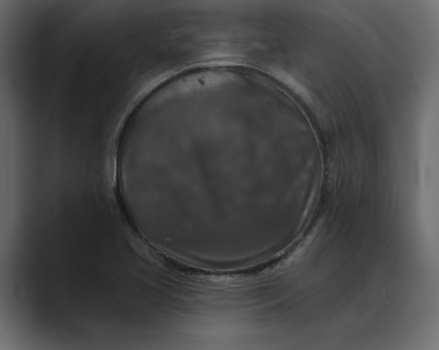 X0000089341413200706290952