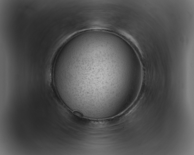 X0000089341415200706290952