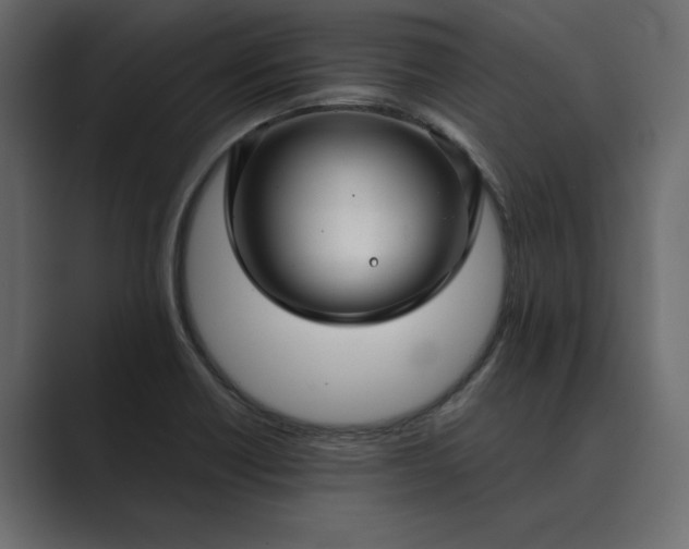 X0000089341418200706290952